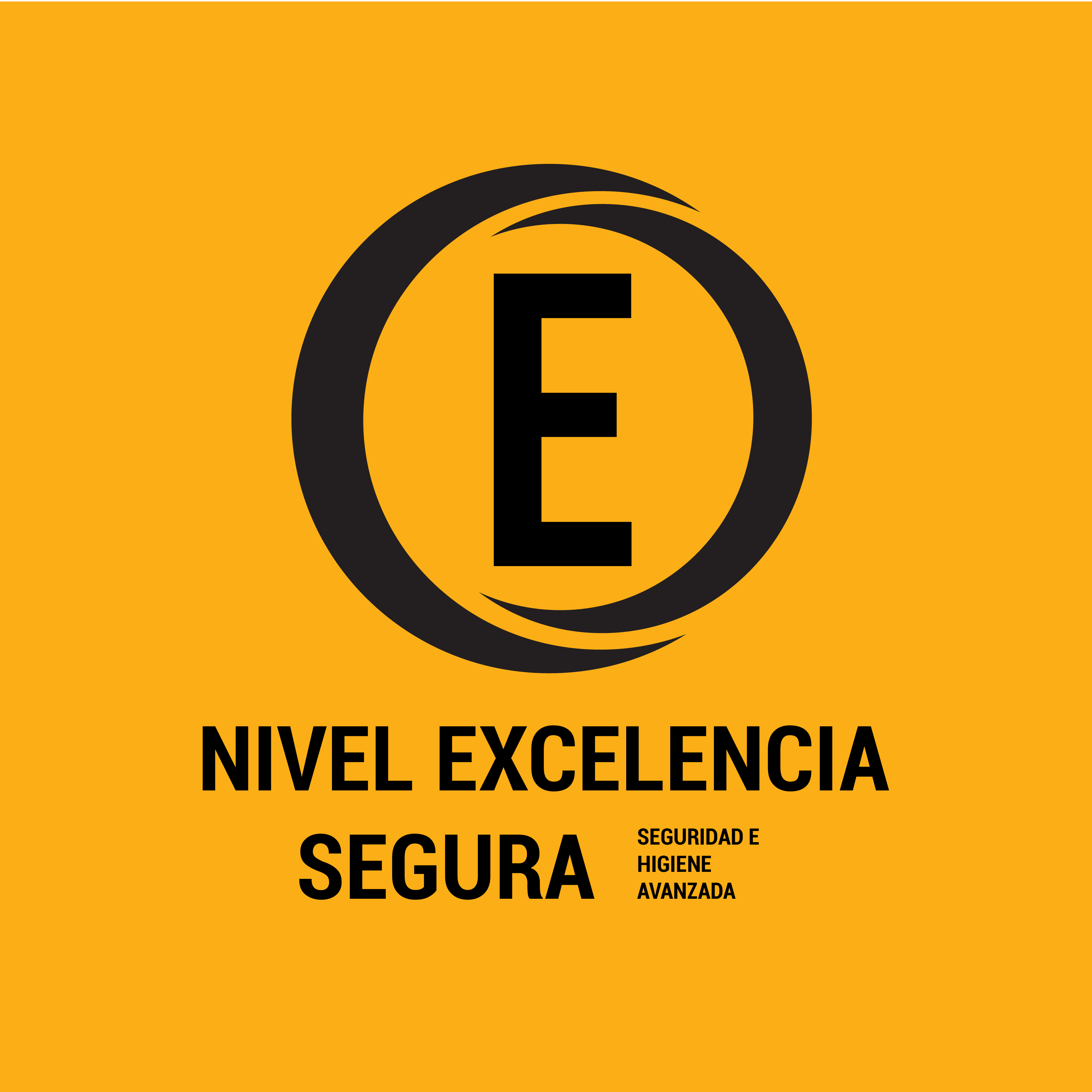 Nivel Excelencia Segura Nivel Excelencia Segura