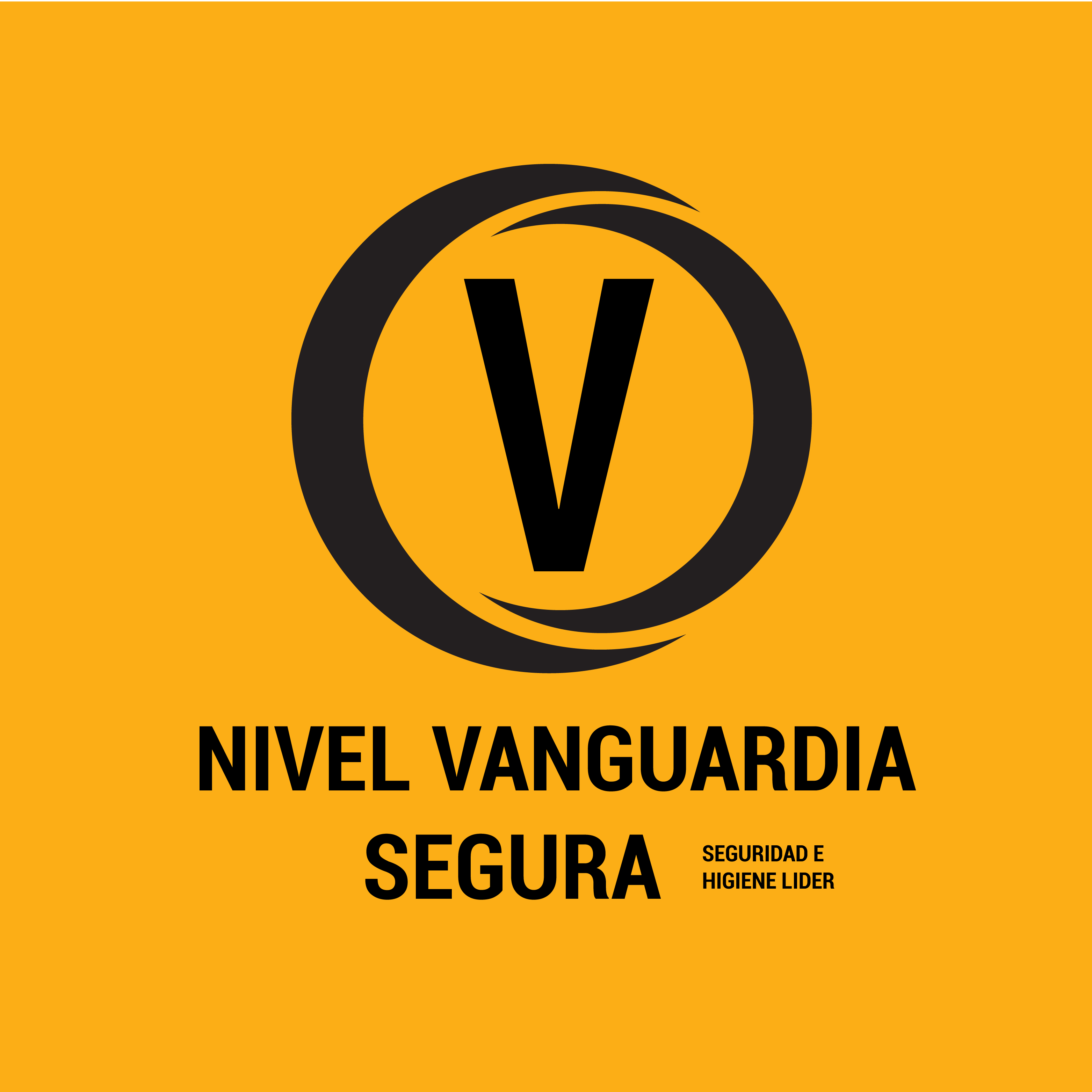 Nivel Vanguardia Segura Nivel Vanguardia Segura