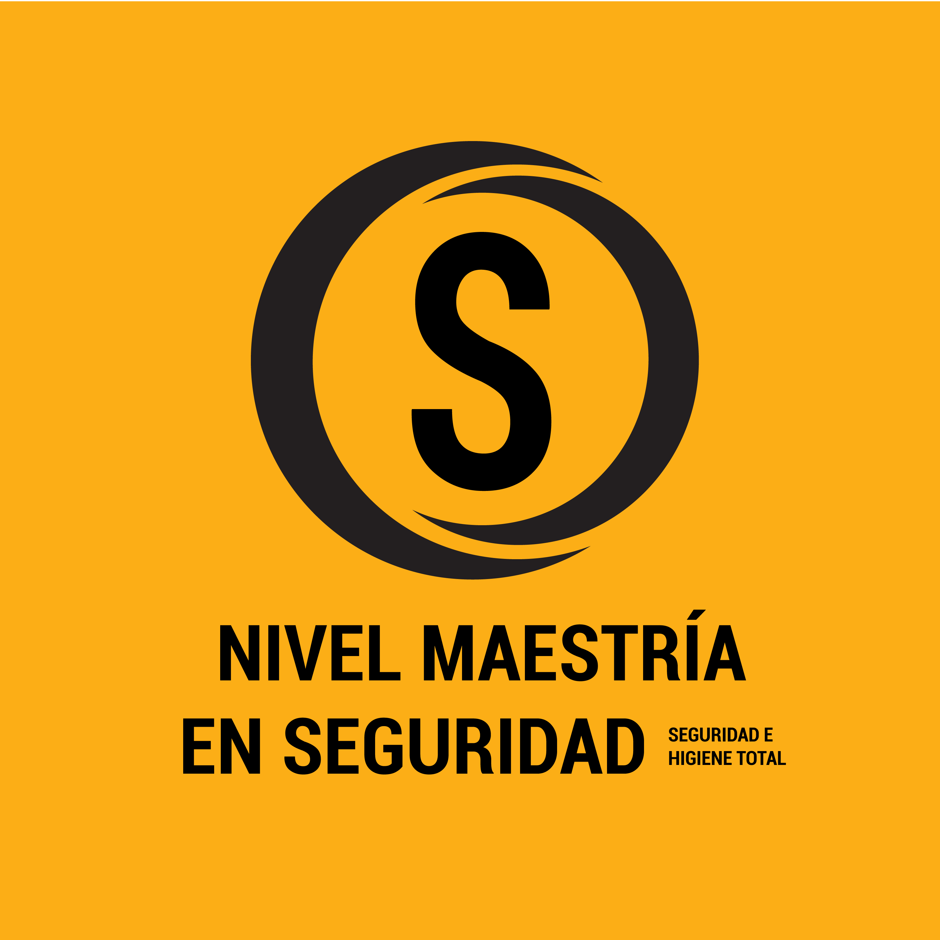 Nivel Maestría en Seguridad Nivel Maestría en Seguridad